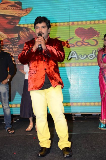 Hrudaya-Kaleyam-Audio-Launch